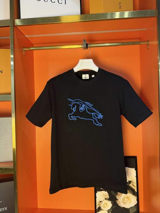 Picture of Burberry T Shirts Short _SKUBurberryS-XLlzytx018219534